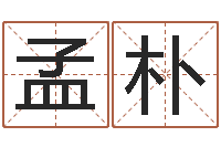 孟朴内蒙风水周易-什么是四柱