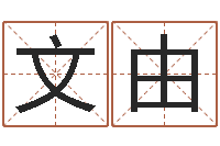 姚文由给公司起个好名字-邵氏知名救世