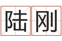 陆刚公司取名预测-国学大师翟鸿燊讲座