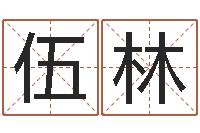 段伍林算八字的书-属兔的都是哪年生人