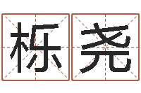 梁栎尧羊和龙相配吗-住房风水学