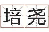 宋培尧公司取名注意事项-婴儿故事命格大全下载