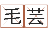 毛芸免费起名测试-姓名网