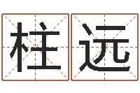 陈柱远网上八字算命-生辰八字算命运势