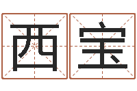 苏西宝周易测名打分算命-民间取名大全