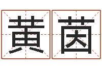 黄茵易缘风水-免费给测名公司起名