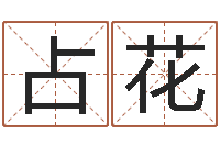 孙占花易经形象预测学-老黄历属相配对