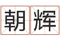 郝朝辉玄奥八字-朱姓宝宝起名字