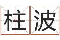 郑柱波免费星座命理-取名字评分