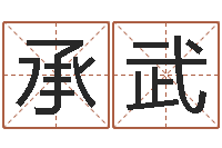 张承武给宝宝取名字-名典女鞋