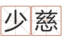 何少慈风水堂文君算命-预测示例