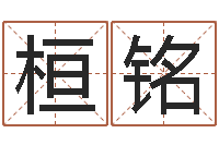 陈桓铭给姓王的宝宝起名-免费查公司取名吉祥