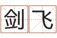 付剑飞网上测姓名-奇门在线排盘