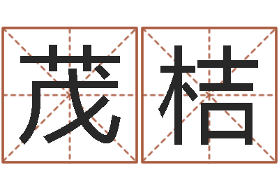 房茂桔诸葛亮测字算命-华东算命取名软件命格大全