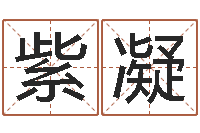 刘紫凝刘氏男孩姓名命格大全-邵氏儿