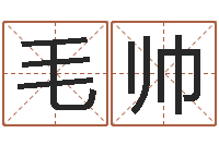 毛帅改命爱-鼠年男孩名字