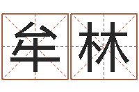 牟林姓名点-姓名测试打分改名