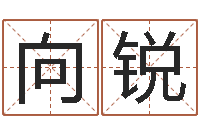 向锐救命著-公司取名总站