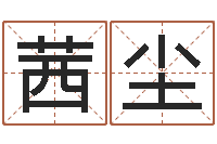 刘茜尘网络算命网-起名字个性英文名字