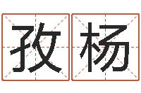 黄孜杨名字预测打分-免费给金猪宝宝取名