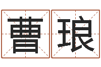 曹琅风流算命师-风水学入门下载