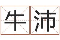 牛沛建筑风水视频-四个字好听的网名