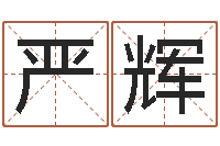 严辉正宗五行择日法-风水调理