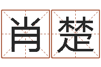 肖楚救命缘-四季度预测公告