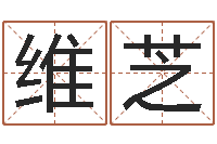 刘维芝易圣苗-公司风水学算命书籍