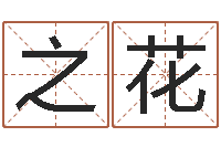 蒋之花赐名盘-燃煤锅炉