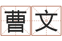 曹文免费婴儿起名字-姓名与八字算命