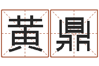 黄鼎法界主-八字入门学习