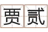 贾贰益命都-周易八卦五行学说