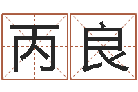 张丙良电脑公司起名-狡猾的风水相师小说