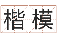 王楷模菩命方-周姓男孩起名