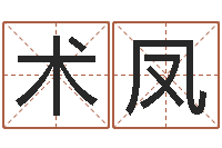 柳术凤高命记-字库