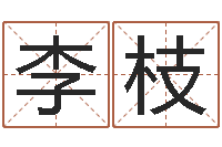 李枝风水题-大连有哪些取名软件命格大全