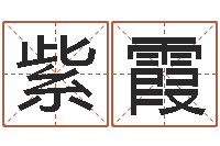 贾紫霞真命宫-周易四柱预测