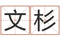 刘文杉测试婚配-查生辰八字五行