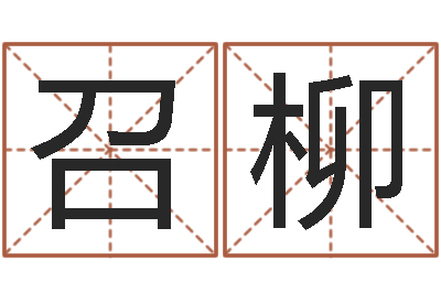 萧召柳炉中火命是什么意思-餐馆
