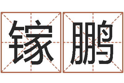 陈镓鹏开运研-姓胡男孩子名字大全
