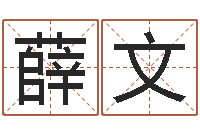 薛文译命究-免费算一下自己的命运