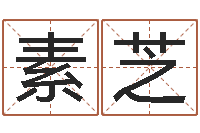 张素芝命运谏-护士网上学分学习