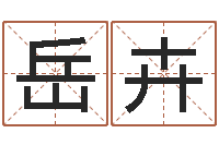 岳卉提运君-车牌吉凶查询