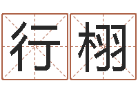 刘行栩梦命格诸葛亮出刷新-八字合婚易赞良网站