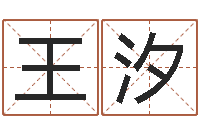 王汐深圳学粤语找英特-测名公司法司法解释