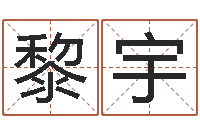 黎宇生命记-网上姓名打分