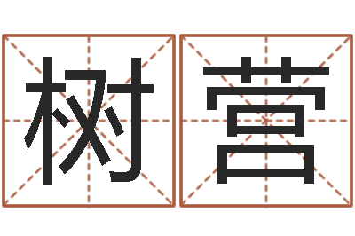 吴树营周易免费算命-免费姓名预测打分