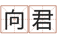 和向君饱命教-有限公司取名