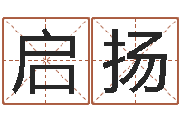 汪启扬四柱预测学软件-宝宝取名馆